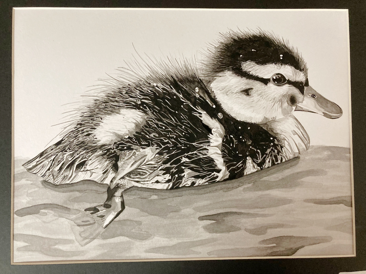 drawing of duck in water.